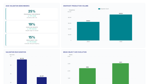RPKI in 2025: Why Path Validation Matters Now