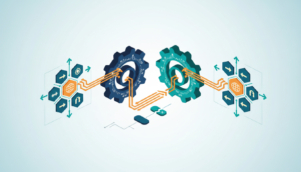 AS Number Basics: Why Your Network Needs One