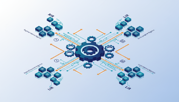 Regional Internet Registry: How 1992 Changed IP Policy