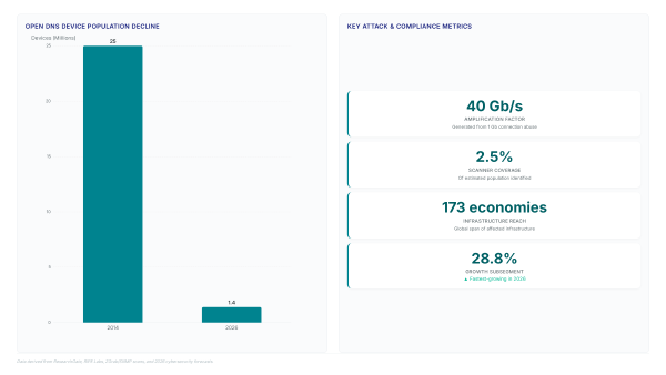 Forwarders Fuel DNS Attacks: The Invisible Risk